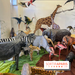 La faune en plis - nos photos - image00027