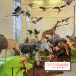 La faune en plis - nos photos - image00028