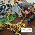 La faune en plis - nos photos - image00026