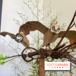 La faune en plis - nos photos - image00022