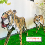 La faune en plis - nos photos - image00023