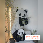 La faune en plis - nos photos - image00020