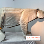 La faune en plis - nos photos - image00017