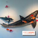 La faune en plis - nos photos - image00015