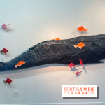 La faune en plis - nos photos - image00010