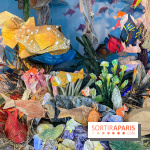 La faune en plis - nos photos - image00011