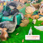 La faune en plis - nos photos - image00008