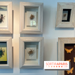 La faune en plis - nos photos - image00005