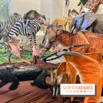 La faune en plis - nos photos - image00001