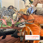 La faune en plis - nos photos - image00002