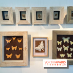 La faune en plis - nos photos - image00003