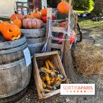 La Fête de la Citrouille - nos photos - image00021