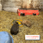 La Fête de la Citrouille - nos photos - image00015