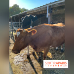 La Fête de la Citrouille - nos photos - image00010