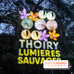Thoiry Lumières Sauvages 2024, les Voyages Extraordinaires de Jules Verne - photos