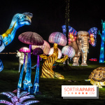 Thoiry Lumières Sauvages 2024, les Voyages Extraordinaires de Jules Verne - photos
