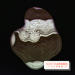 Pixels au Grand Palais Immersif : nos photos de l'exposition qui mêle art numérique et IA - DSC 2012