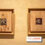 Exposition Les Cimes de l’Asphalte de Duy Anh Nhan Duc à l’Espace Richaud - DSC 2064