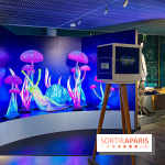 Les vitrines de Noël 2024 de la Samaritaine : Thoiry Lumières Sauvages envahit le grand magasin - Les vitrines de Noël 2024 de la Samaritaine : Thoiry Lumières Sauvages envahit le grand magasin   image00022   1125736