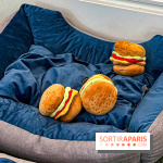 Le Doggy Brunch : le brunch gourmand entre chiens et maîtres à l'hôtel Kimpton Saint Honoré Paris - image00008