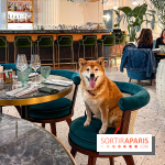 Le Doggy Brunch : le brunch gourmand entre chiens et maîtres à l'hôtel Kimpton Saint Honoré Paris - image00013