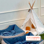 Le Doggy Brunch : le brunch gourmand entre chiens et maîtres à l'hôtel Kimpton Saint Honoré Paris - image00030