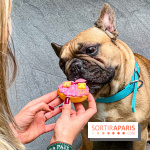 Le Doggy Brunch : le brunch gourmand entre chiens et maîtres à l'hôtel Kimpton Saint Honoré Paris - image00062