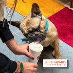 Le Doggy Brunch : le brunch gourmand entre chiens et maîtres à l'hôtel Kimpton Saint Honoré Paris