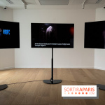 Ordinary World : L'exposition du Centre Culturel Coréen - IMG 1764