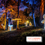 Lumières en Seine 2024, le parcours de lumières féérique et animé  -  A7C6617