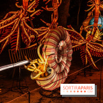 Jurassique en voir d'illumination, le parcours de lumières du jardin d'acclimatation 2024, les photos  -  A7C6989