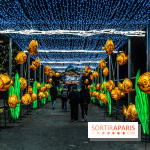 Jurassique en voir d'illumination, le parcours de lumières du jardin d'acclimatation 2024, les photos  -  A7C6998