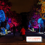 Jurassique en voir d'illumination, le parcours de lumières du jardin d'acclimatation 2024, les photos  -  A7C7011