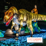 Jurassique en voir d'illumination, le parcours de lumières du jardin d'acclimatation 2024, les photos  -  A7C7043