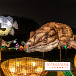 Jurassique en voir d'illumination, le parcours de lumières du jardin d'acclimatation 2024, les photos  -  A7C7051