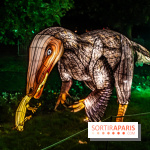 Jurassique en voir d'illumination, le parcours de lumières du jardin d'acclimatation 2024, les photos  -  A7C7067