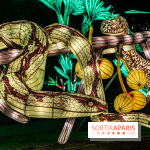 Jurassique en voir d'illumination, le parcours de lumières du jardin d'acclimatation 2024, les photos  -  A7C7070