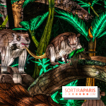 Jurassique en voir d'illumination, le parcours de lumières du jardin d'acclimatation 2024, les photos  -  A7C7098