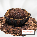 La bûche de Noël Hespéridée du Peninsula Paris 2024 et galette des rois 2025 -  A7C2260