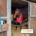 Domaine de Maffliers : notre test de l'escapade champêtre et équestre by Demeures de Campagne - IMG 1370