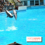 Parc Asterix
Dauphins
