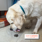 CAYU Canidés Club, la boutique d'accessoires dog friendly - nos photos