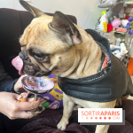 CAYU Canidés Club, la boutique d'accessoires dog friendly - nos photos