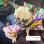 CAYU Canidés Club, la boutique d'accessoires dog friendly - nos photos