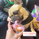 CAYU Canidés Club, la boutique d'accessoires dog friendly - nos photos