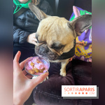 CAYU Canidés Club, la boutique d'accessoires dog friendly - nos photos