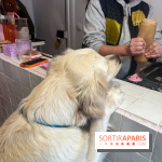 CAYU Canidés Club, la boutique d'accessoires dog friendly - nos photos