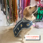 CAYU Canidés Club, la boutique d'accessoires dog friendly - nos photos