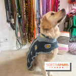 CAYU Canidés Club, la boutique d'accessoires dog friendly - nos photos