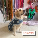 CAYU Canidés Club, la boutique d'accessoires dog friendly - nos photos